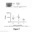 Fig. 07 - Therapeutic charge engineered variants of lysozyme and methods for using same to treat infections