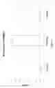 Fig. 06 - COMPLEXES OF RNA  AND CATIONIC PEPTIDES FOR TRANSFECTION AND FOR IMMUNOSTIMULATION