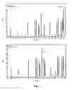 Fig. 06 - Compositions of engineered human arginases and methods for treating cancer
