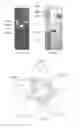 Fig. 06 - Attenuated Mannheimia haemolytica Vaccines and Methods of Making and Use