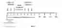 Fig. 02 - Methods of treating CMV retinitis by T cell therapy