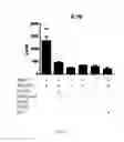 Fig. 11 - Vaccine adjuvants