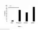 Fig. 03 - Calcium flux agonists and methods therefor