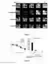 Fig. 13 - Calcium flux agonists and methods therefor