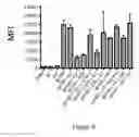 Fig. 06 - Annexin II compositions