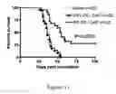 Fig. 08 - Annexin II compositions