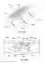 Fig. 31 - Magnetic particle control and visualization