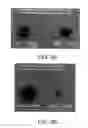 Fig. 10 - METHOD OF SYNTHESIZING POLYSACCHARIDE CONJUGATES AND METHOD FOR CANCER THERAPY