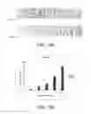 Fig. 16 - METHOD OF SYNTHESIZING POLYSACCHARIDE CONJUGATES AND METHOD FOR CANCER THERAPY