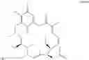 Fig. 24 - Targeted therapeutics