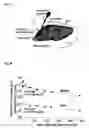 Fig. 02 - Blood brain barrier shuttle
