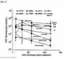 Fig. 05 - Blood brain barrier shuttle