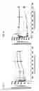 Fig. 09 - Blood brain barrier shuttle