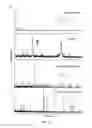 Fig. 06 - TARGETED POLYMERIC NANO-COMPLEXES AS DRUG DELIVERY SYSTEM