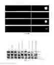 Fig. 12 - TARGETED POLYMERIC NANO-COMPLEXES AS DRUG DELIVERY SYSTEM