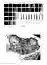 Fig. 16 - TARGETED POLYMERIC NANO-COMPLEXES AS DRUG DELIVERY SYSTEM