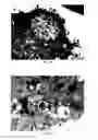 Fig. 17 - TARGETED POLYMERIC NANO-COMPLEXES AS DRUG DELIVERY SYSTEM