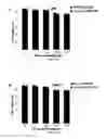 Fig. 19 - TARGETED POLYMERIC NANO-COMPLEXES AS DRUG DELIVERY SYSTEM