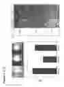 Fig. 09 - Peptide-Based Compounds and Their Uses for Tumor Imaging and Targeting