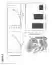 Fig. 13 - Peptide-Based Compounds and Their Uses for Tumor Imaging and Targeting