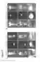 Fig. 17 - Peptide-Based Compounds and Their Uses for Tumor Imaging and Targeting
