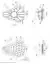 Fig. 02 - High surface area reservoir for volatile fluid dispenser