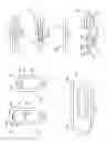 Fig. 05 - High surface area reservoir for volatile fluid dispenser