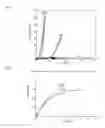 Fig. 02 - BIODEGRADABLE IMPLANT AND METHOD FOR MANUFACTURING SAME