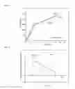 Fig. 03 - BIODEGRADABLE IMPLANT AND METHOD FOR MANUFACTURING SAME