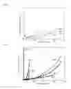 Fig. 04 - BIODEGRADABLE IMPLANT AND METHOD FOR MANUFACTURING SAME