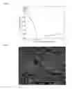 Fig. 05 - BIODEGRADABLE IMPLANT AND METHOD FOR MANUFACTURING SAME