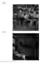 Fig. 06 - BIODEGRADABLE IMPLANT AND METHOD FOR MANUFACTURING SAME