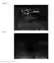 Fig. 07 - BIODEGRADABLE IMPLANT AND METHOD FOR MANUFACTURING SAME