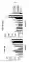 Fig. 04 - In situ tissue engineering