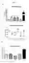 Fig. 05 - In situ tissue engineering