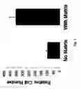 Fig. 03 - ORGANOIDS COMPRISING DECELLULARIZED AND REPOPULATED PLACENTAL VASCULAR SCAFFOLD