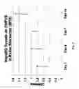 Fig. 04 - ORGANOIDS COMPRISING DECELLULARIZED AND REPOPULATED PLACENTAL VASCULAR SCAFFOLD
