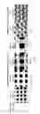 Fig. 06 - ORGANOIDS COMPRISING DECELLULARIZED AND REPOPULATED PLACENTAL VASCULAR SCAFFOLD