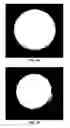 Fig. 02 - Bioactive Implants and Methods of Making and Using