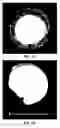 Fig. 03 - Bioactive Implants and Methods of Making and Using