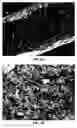 Fig. 04 - Bioactive Implants and Methods of Making and Using
