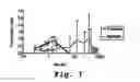 Fig. 11 - Drug delivery endovascular stent and method of use