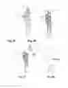 Fig. 22 - Nasal delivery device