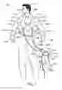 Fig. 02 - Emergency Air Delivery System for Patients