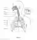 Fig. 05 - Respiratory apparatus