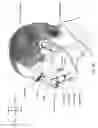 Fig. 08 - Respiratory apparatus