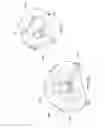 Fig. 37 - Respiratory apparatus