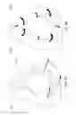 Fig. 79 - Respiratory apparatus