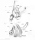 Fig. 80 - Respiratory apparatus