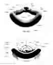 Fig. 86 - Respiratory apparatus
